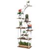 Outsunny Plant Stand Indoor, 8 Tier 62" S-Shaped Plant Shelf, Corner Plant Rack for Multiple Plants, Carbonised Finish